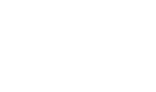 2025 Shenzhen Intelligent Dexterous Hand Competition Champion